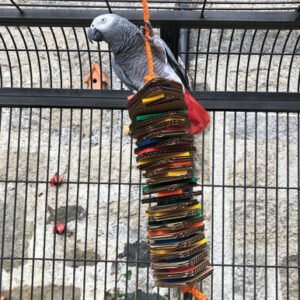 stacks of shredding large wood cardboard parrot toy