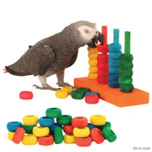 Teacher Toy Activity Parrot Toy and Refill Pack Bundle