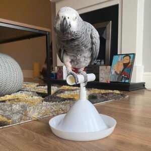 the percher portable parrot training perch