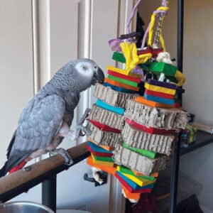 Triple Dynamite Parrot Toy