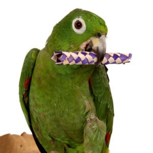 woven paper sticks foot toys for parrots pack of 12